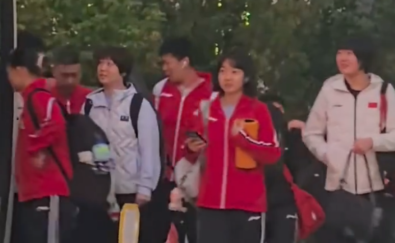 专业BBIN·宝盈集团服务
